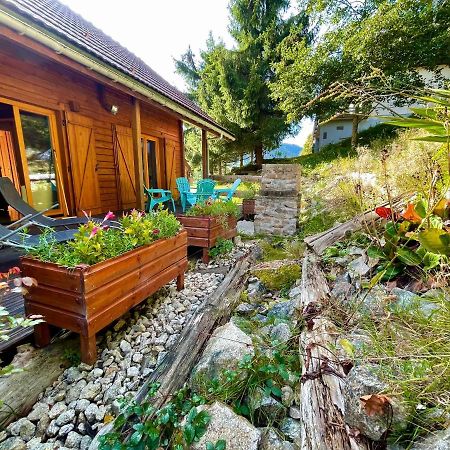 Chalet Des Feignes La Bresse Eksteriør billede