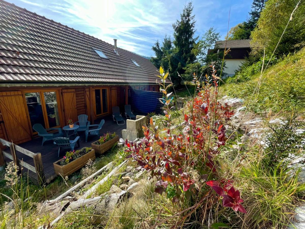Chalet Des Feignes La Bresse Eksteriør billede